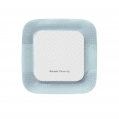 Curativo Biatain Silicone Ag 10x10cm - Coloplast (39637) - Caixa c/ 5 un.
