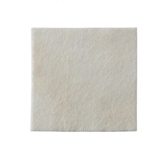 Curativo Biatain Alginato Ag 10x10cm - Coloplast (3760) - Caixa c/ 10 un.