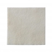 Curativo Biatain Alginato 10X10cm - Coloplast (3710) - Caixa c/ 10 un.